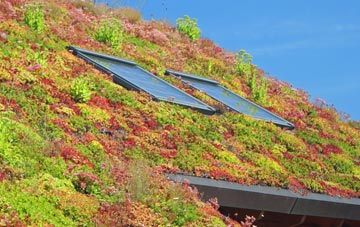 Normanton On Cliffe living roof systems